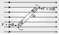 2150_Electric Dipole2.png